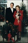 President Reagan with Cavalier King Charles Spaniel, Rex