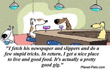 pet cartoon