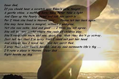 loss of pet, dear god, dog, heaven, all dogs go
