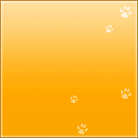 dog-massage